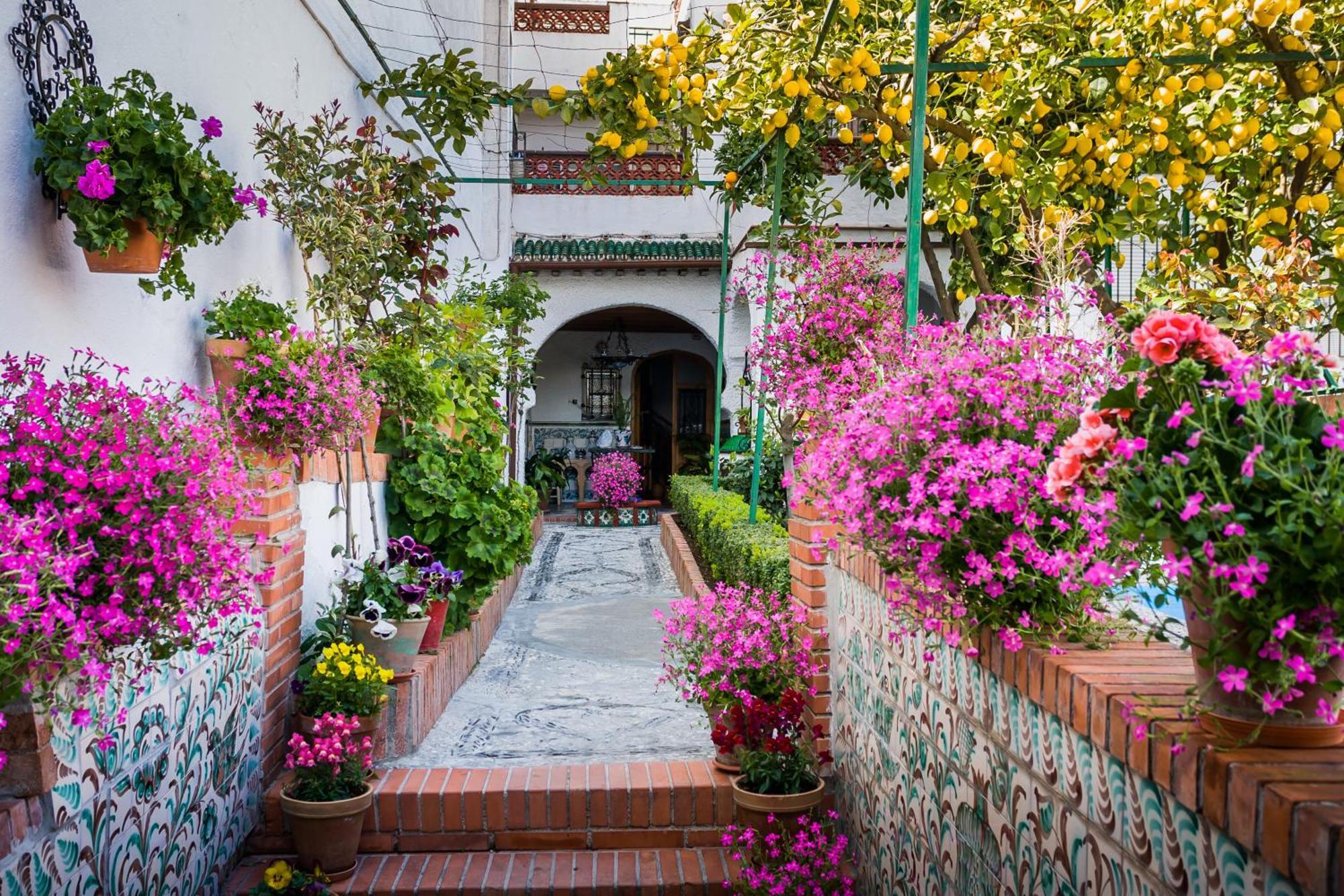 Grazaries -Piso Centrico Granada- Exterior foto
